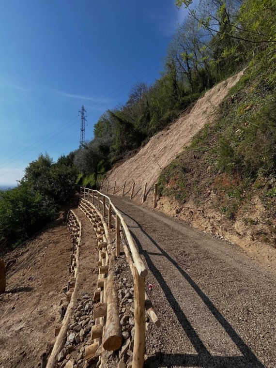 Palificata lungo la viabilità